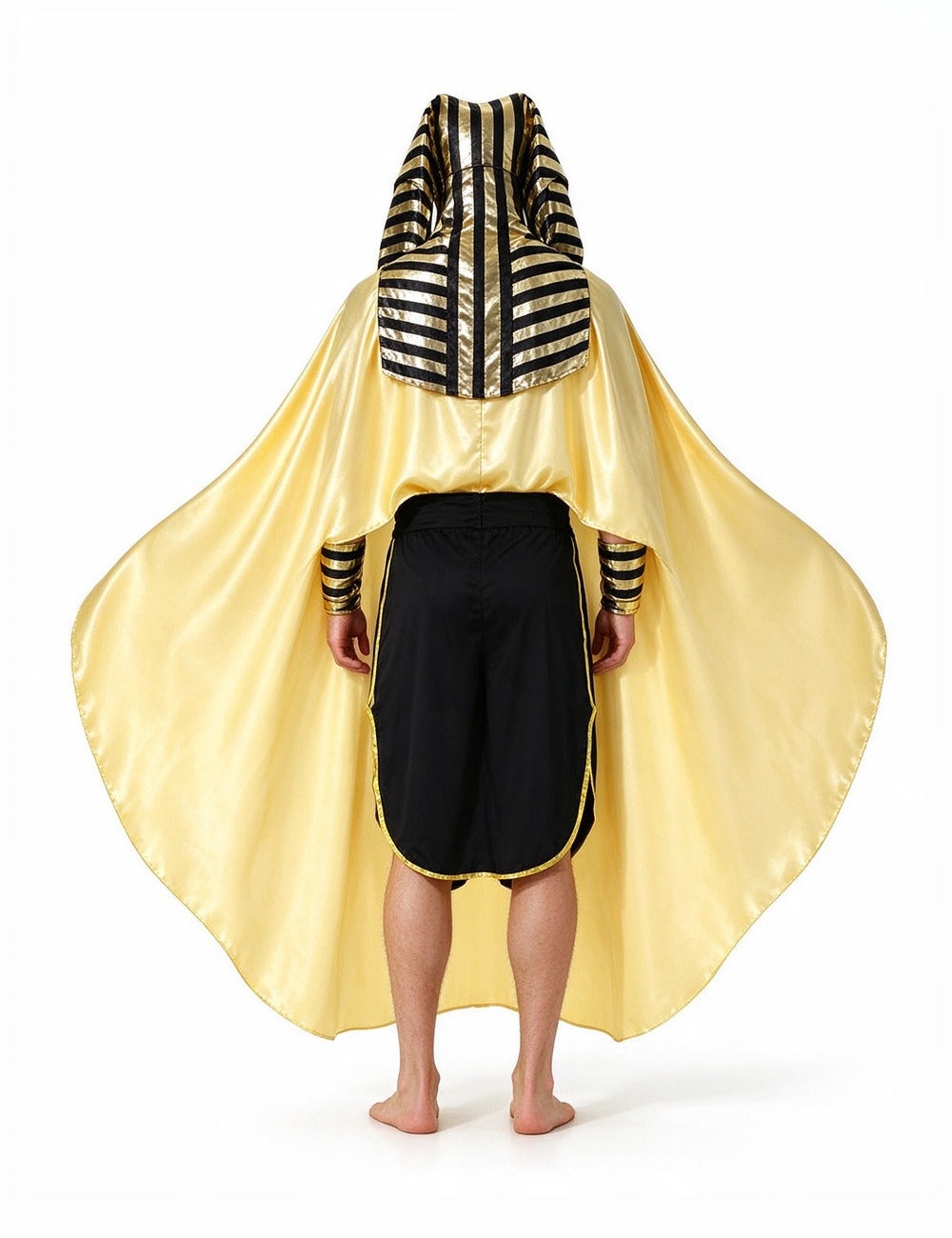 Men Egyptian Pharaoh Costume